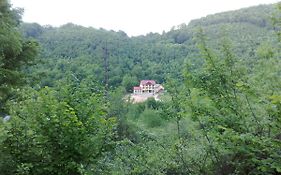 Pensiunea Dolvas Guest House