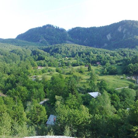 Pensiunea Dolvas Padiş Exterior foto