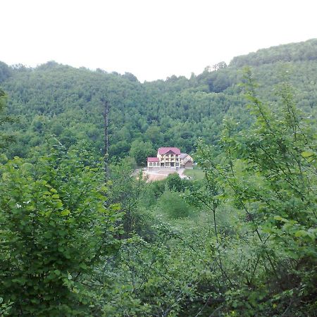 Pensiunea Dolvas Padiş Exterior foto
