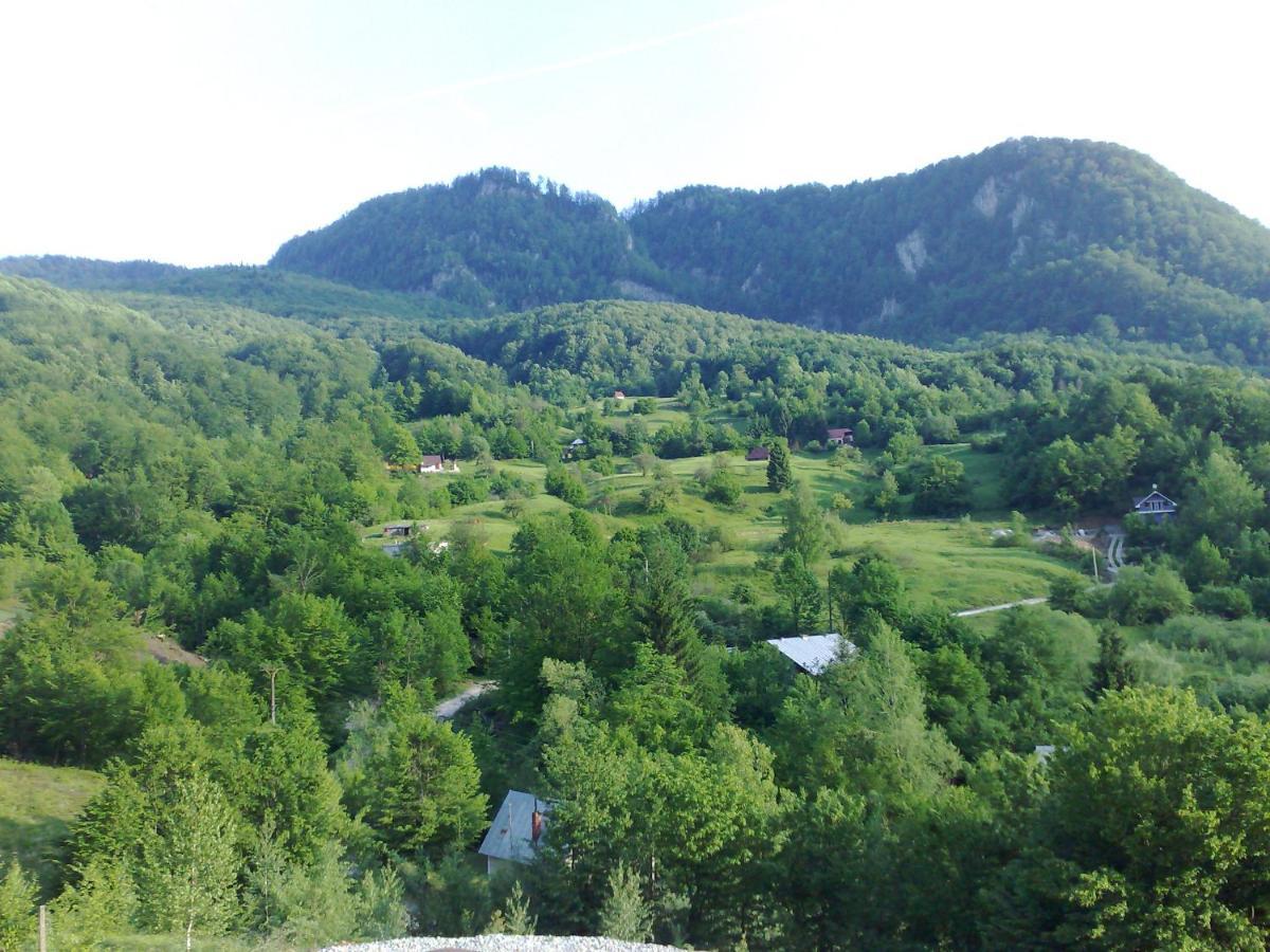 Pensiunea Dolvas Padiş Exterior foto