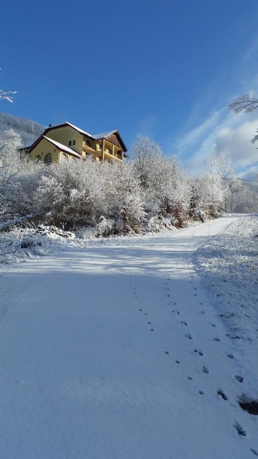 Pensiunea Dolvas Padiş Exterior foto