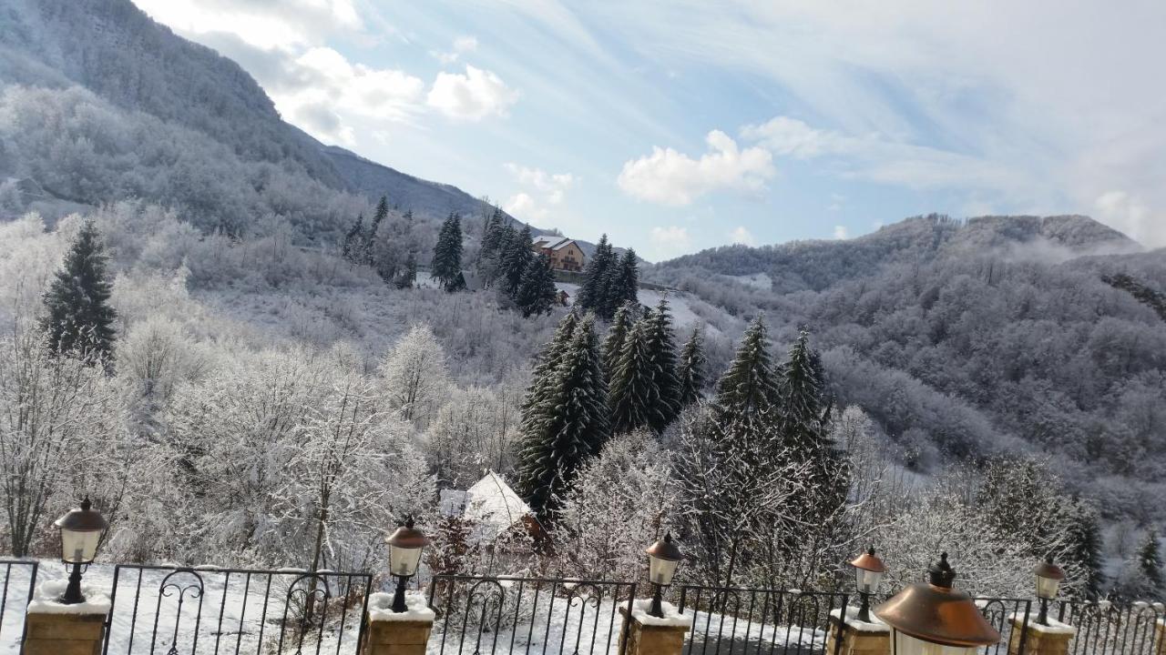 Pensiunea Dolvas Padiş Exterior foto