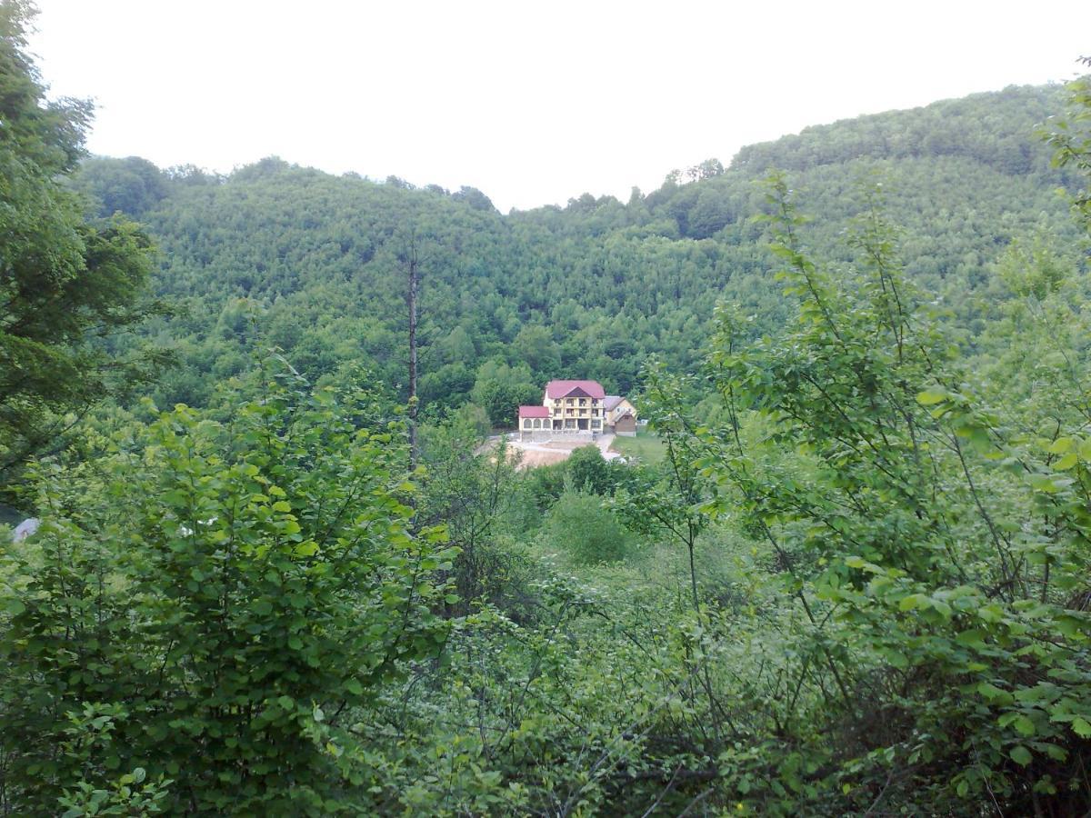 Pensiunea Dolvas Padiş Exterior foto