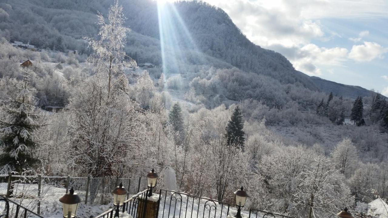 Pensiunea Dolvas Padiş Exterior foto